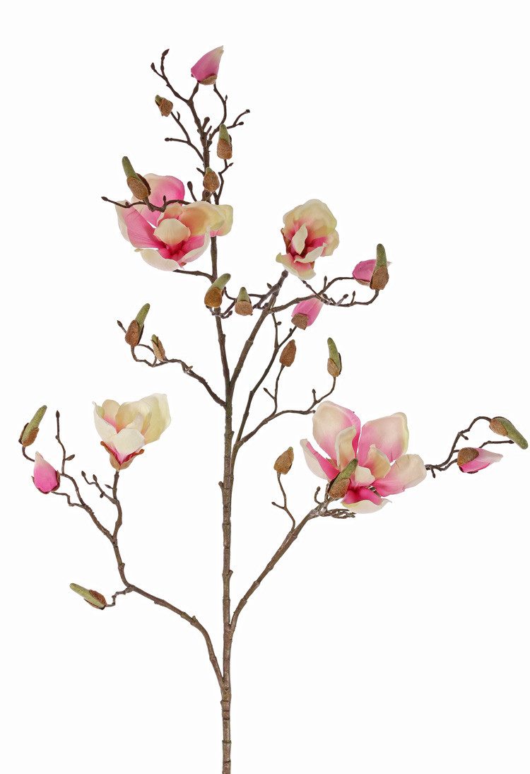 Kunstzweig Künstliche Magnolie LORA, Creme-rosa, 110cm, Ø10-12cm Magnolie, artplants, Höhe 110.0 cm