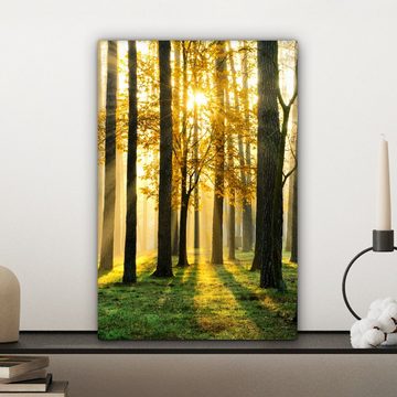 OneMillionCanvasses® Leinwandbild Wald - Sonne - Bäume - Gras - Landschaft - Natur, (1 St), Leinwandbild fertig bespannt inkl. Zackenaufhänger, Gemälde, 20x30 cm