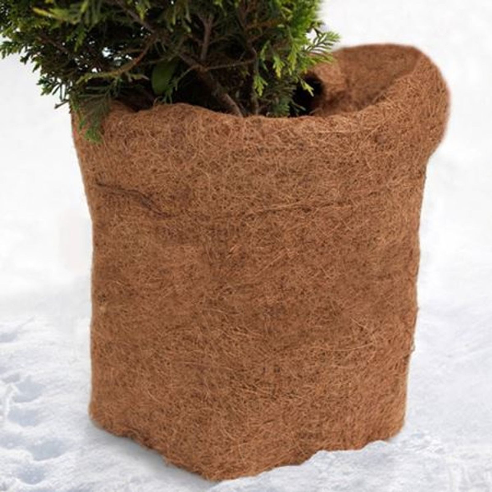 BURI Unkrautvlies Pflanzen Kokosmatte Winterschutz Pflanzenschutz Frostschutz Kokosfaser