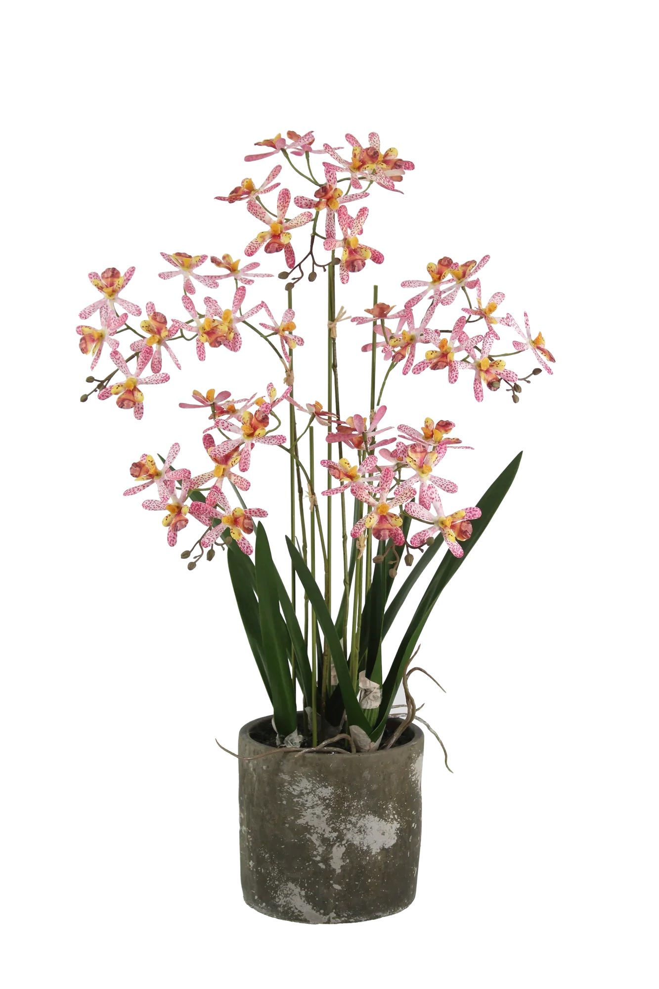 Kunstblume Künstliche Orchidee - Han, 59 cm, aplanta