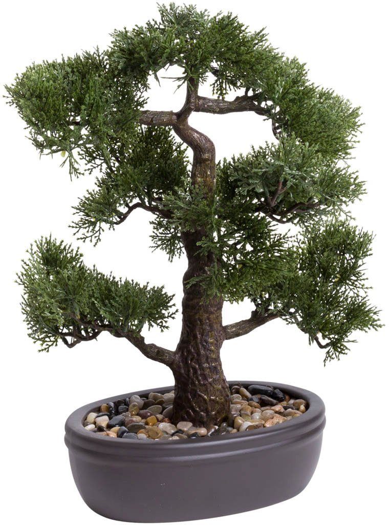 Top-Künstler Kunstbonsai Ceder Bonsai cm Höhe Ceder, 45 Botanic-Haus