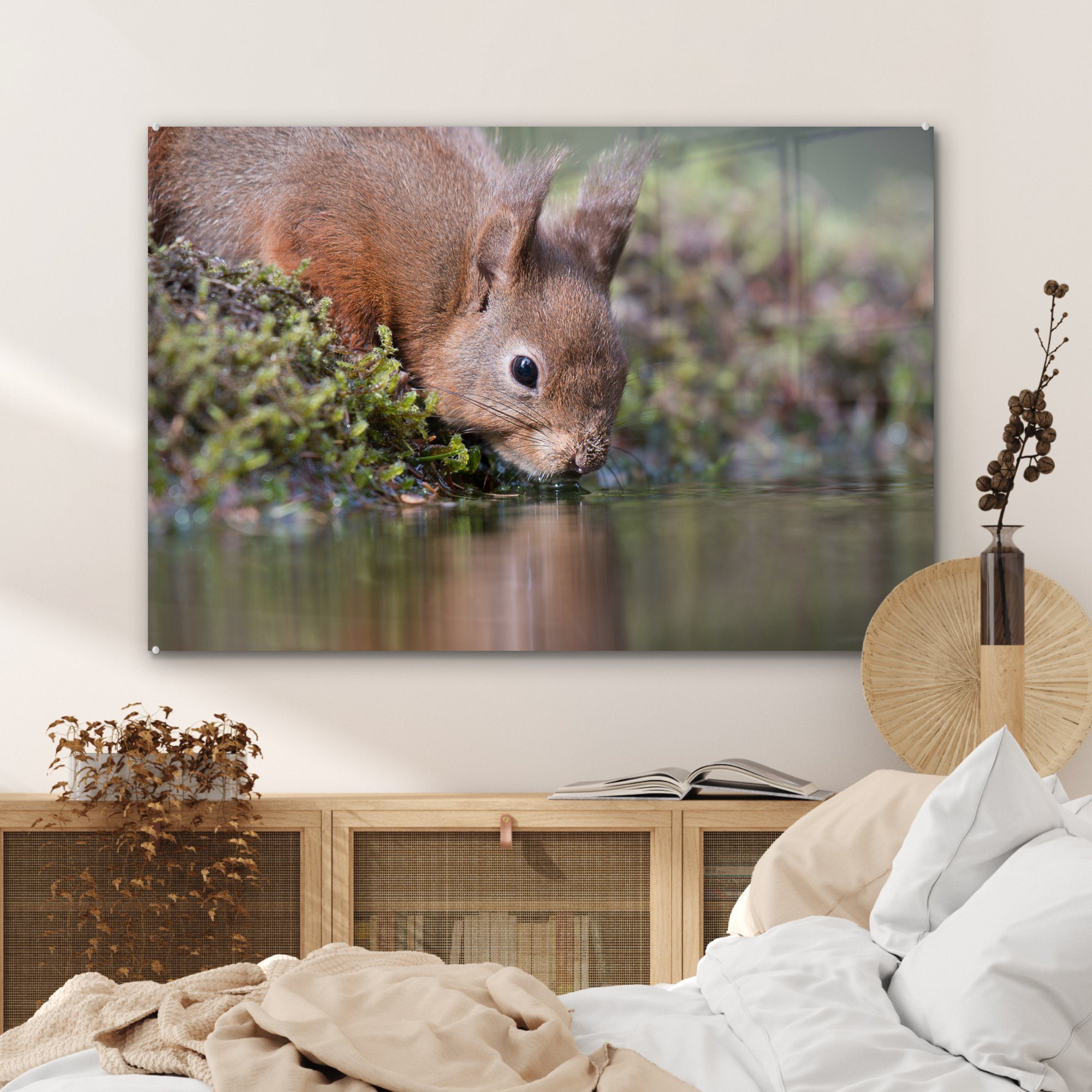 MuchoWow Acrylglasbild Eichhörnchen - (1 Wasser, & Acrylglasbilder St), Wohnzimmer Schlafzimmer Tier 