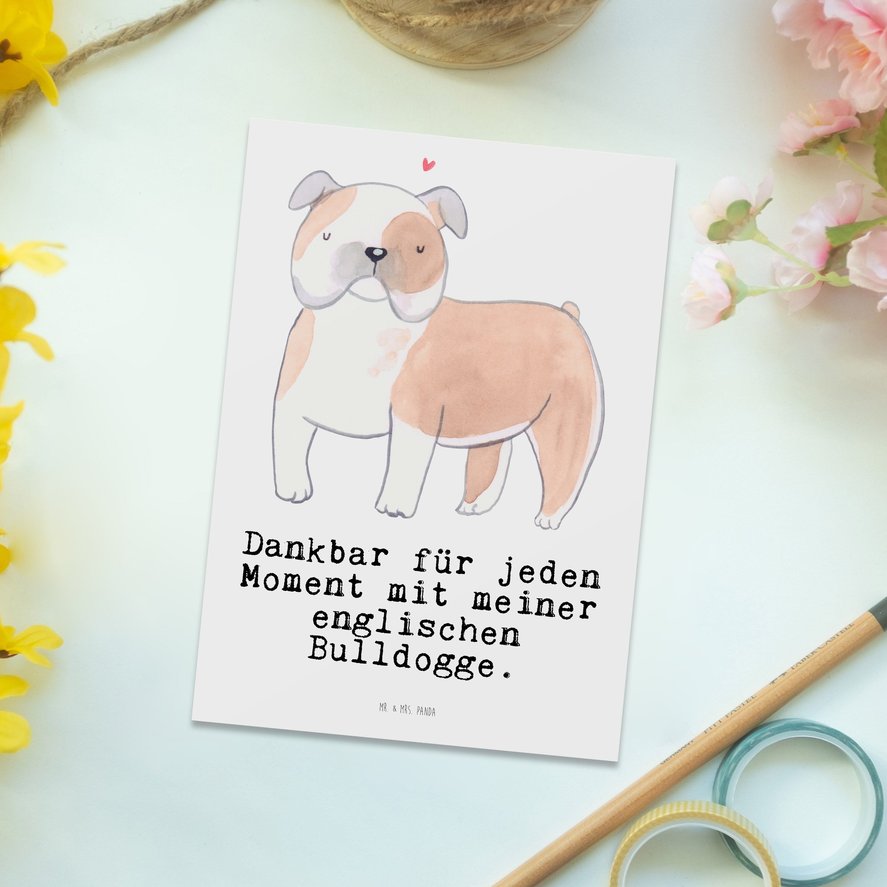 - Dankeskarte, - Englische Geschenk, Ansi Mrs. Weiß Bulldogge & Moment Postkarte Panda Mr. Hund,