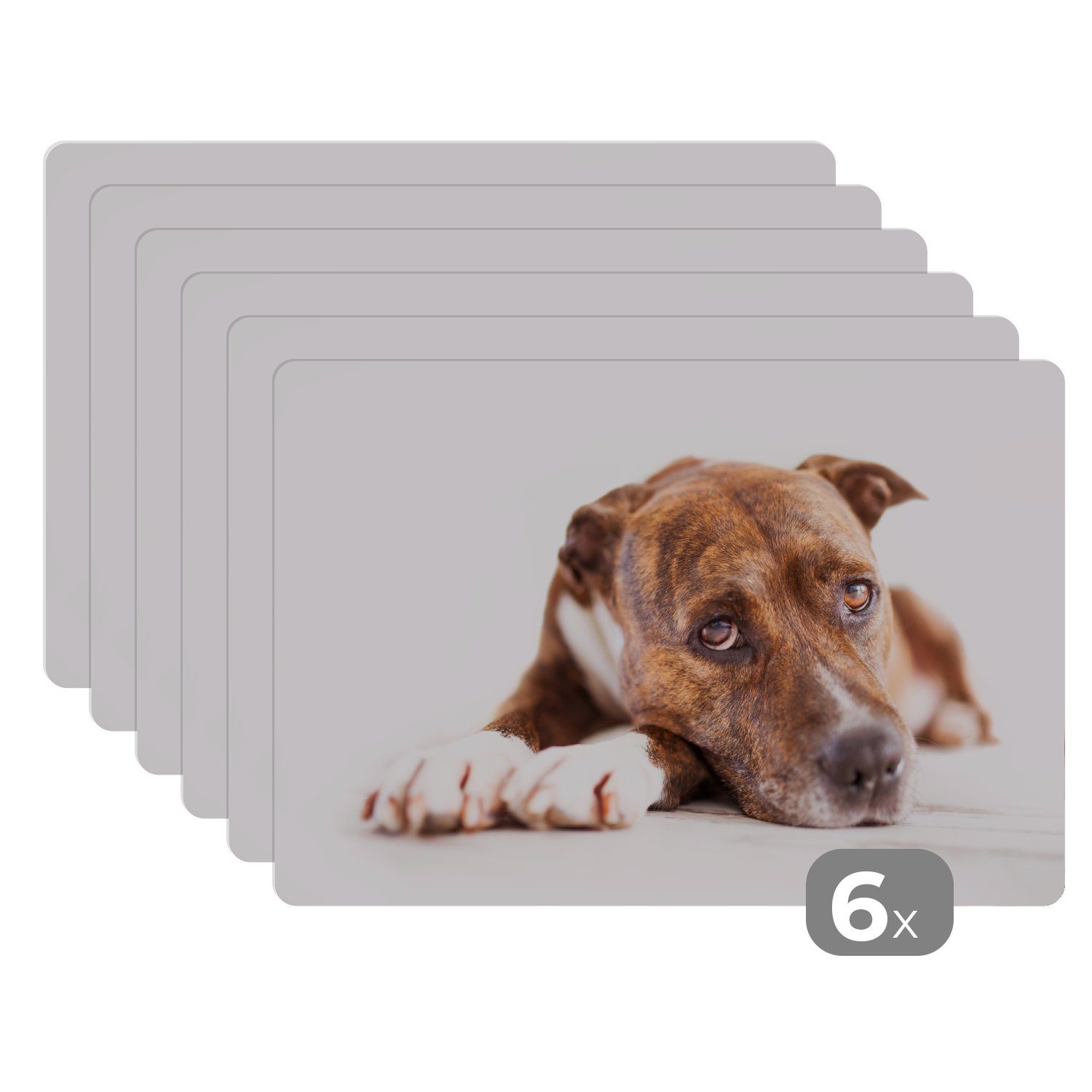 Platzset, Liegender Hund Fotodruck, MuchoWow, (6-St), Platzset, Platzdecken, Platzmatte, Tischmatten, Schmutzabweisend