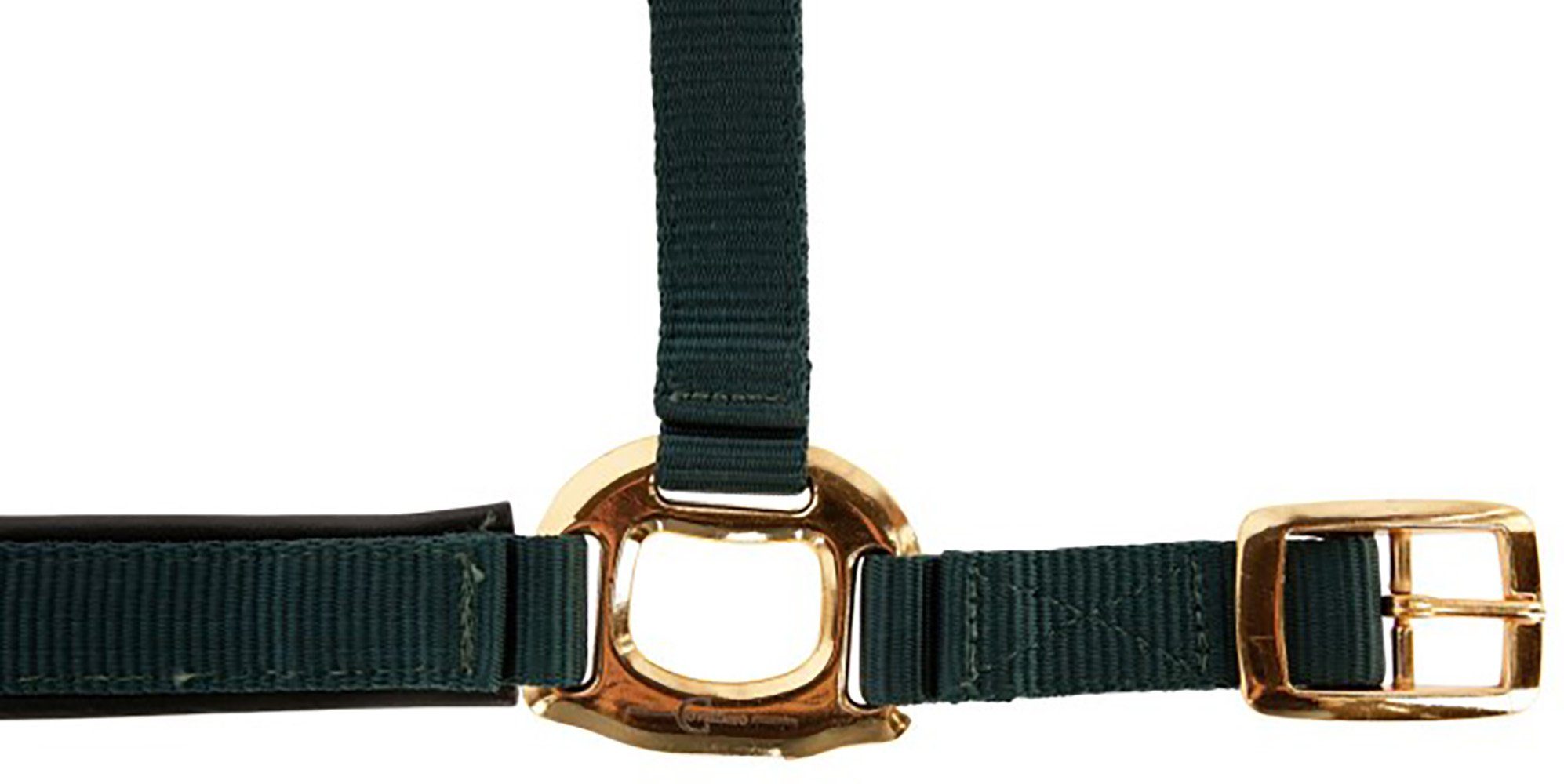 Kerbl Halfter Kerbl Halfter TopLine, forest, Pony, 3224619