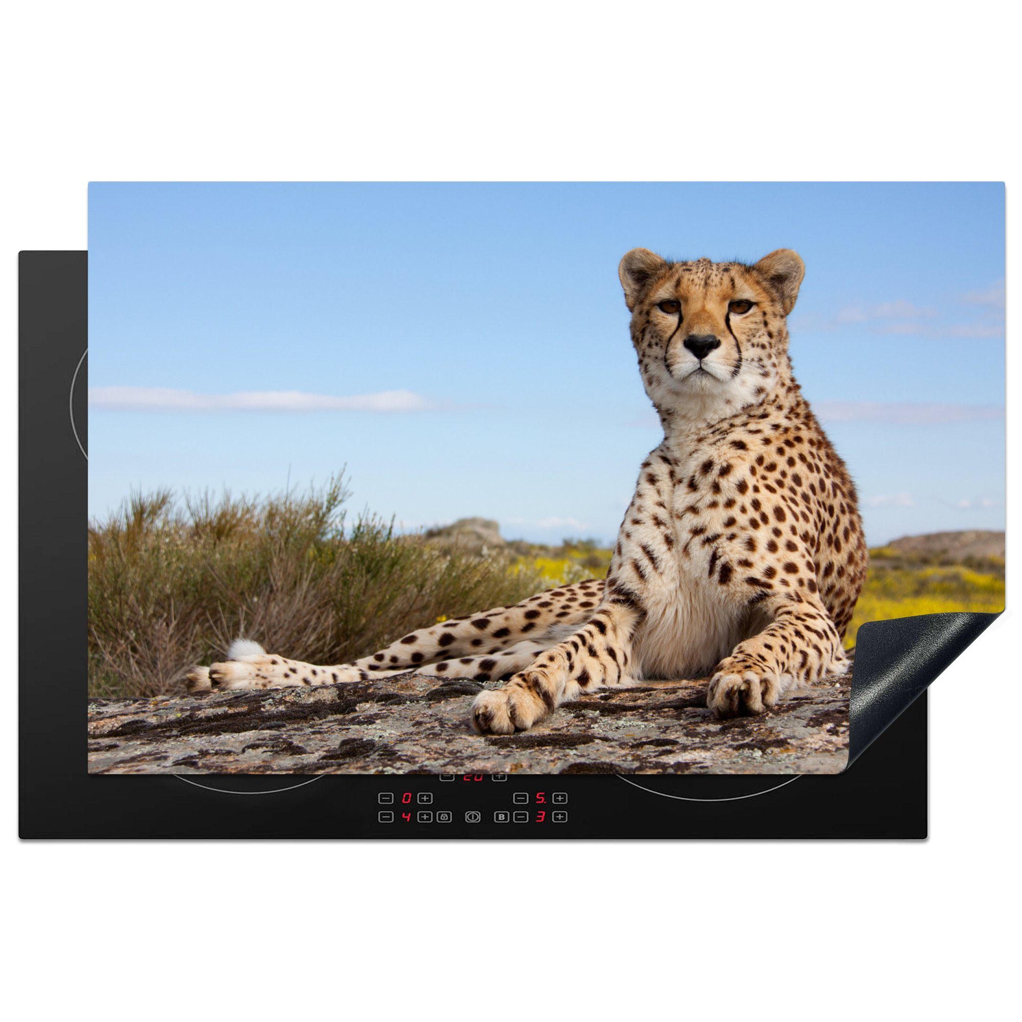 MuchoWow Herdblende-/Abdeckplatte Leopard - Tiere Vinyl, für tlg), küche cm, Ceranfeldabdeckung, Arbeitsplatte Natur, - (1 81x52
