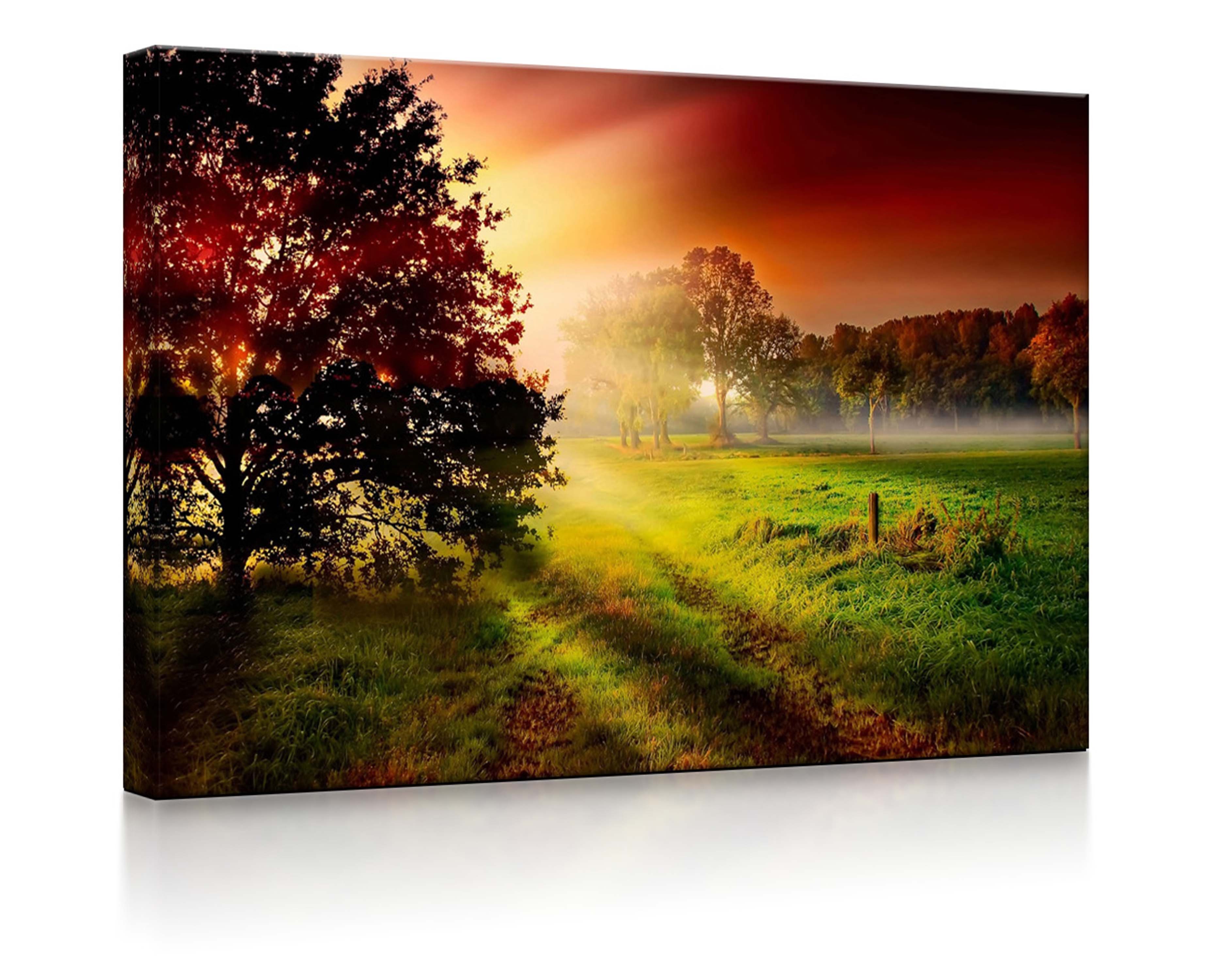 lightbox-multicolor LED-Bild Sonnenuntergang an nebliger Lichtung fully lig günstig online kaufen