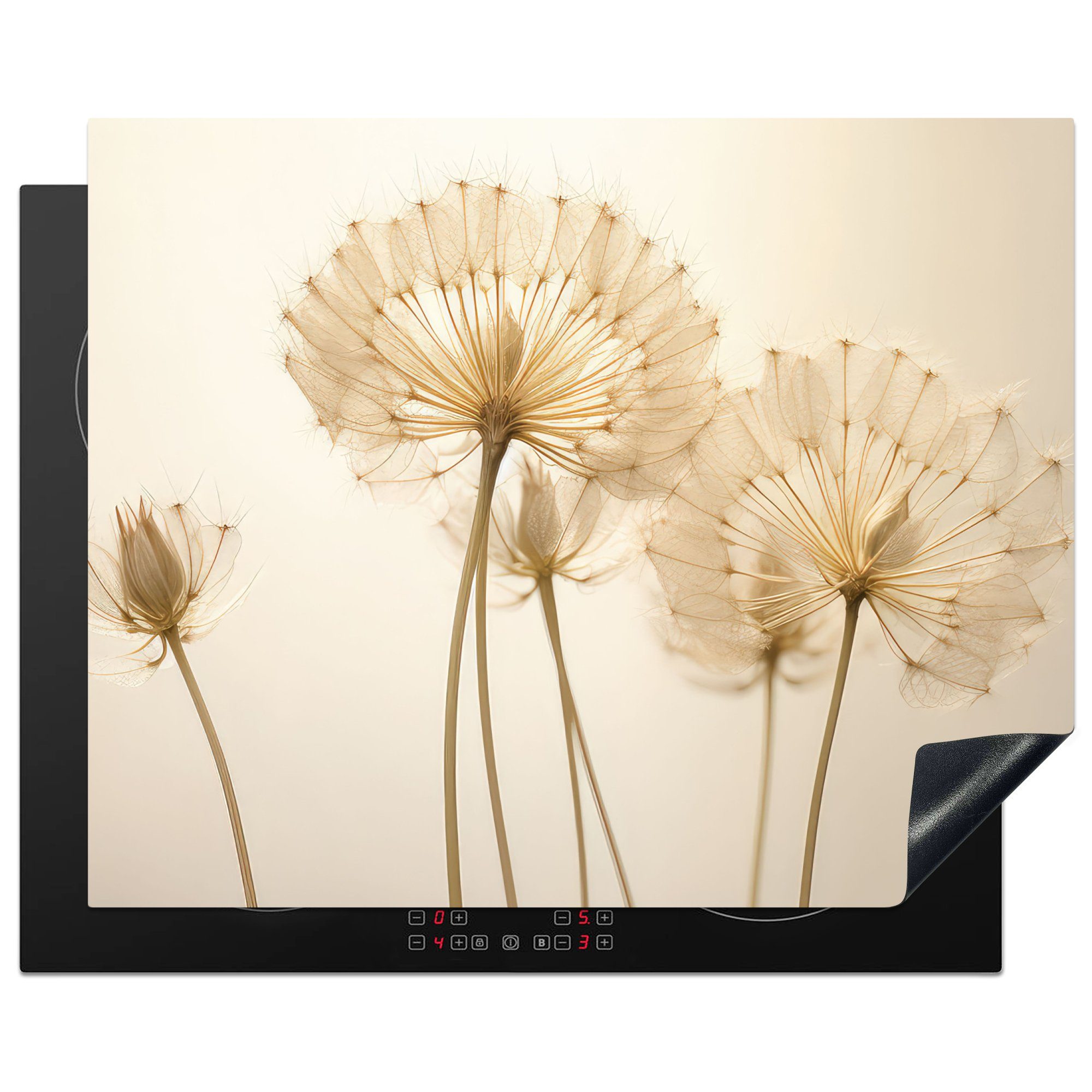 MuchoWow Herd-Abdeckplatte Sonnenlicht - Löwenzahn - Botanisch - Blumen, Vinyl, (1 tlg), Abdeckung Induktionskochfeld Schutzmatte, Küche Deko, 65x52 cm
