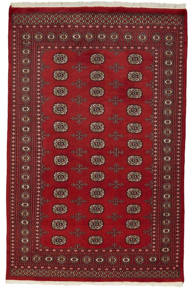 mm Orientteppich Trading, Handgeknüpfter Orientteppich, Pakistan 8 Buchara Höhe: rechteckig, 168x259 2ply Nain