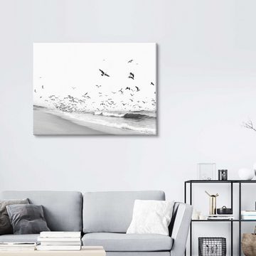 Posterlounge Leinwandbild Sisi And Seb, Vögel am Meer, Wohnzimmer Maritim Fotografie