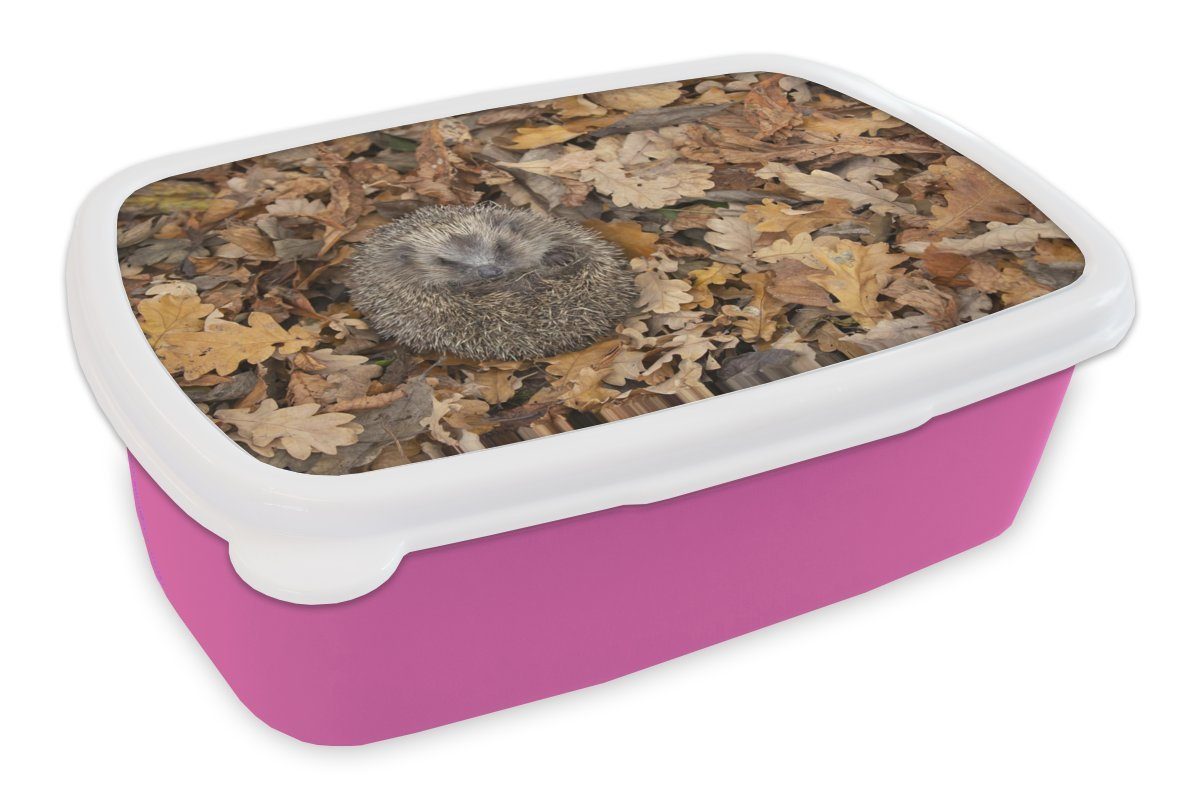 MuchoWow Lunchbox Igel in Blättern eingerollt, Kunststoff, (2-tlg), Brotbox für Erwachsene, Brotdose Kinder, Snackbox, Mädchen, Kunststoff rosa
