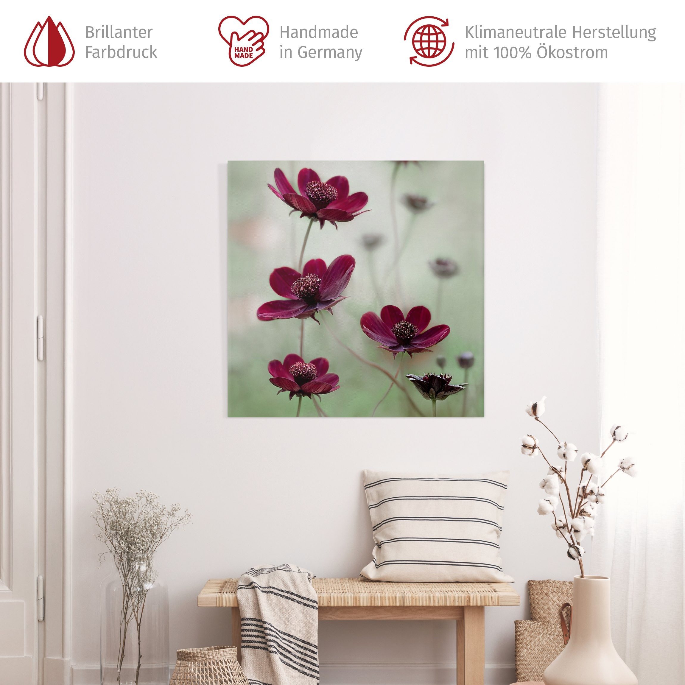 Bilderdepot24 Leinwandbild Blumen Modern Pinke Kosmeen günstig online kaufen