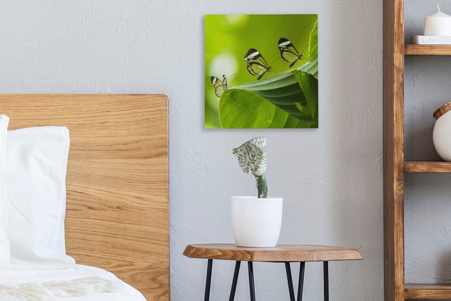 Leinwandbild Costa in auf Bilder OneMillionCanvasses® (1 einem Wohnzimmer Schmetterling Schlafzimmer für Rica, Transparenter Blatt Leinwand St),