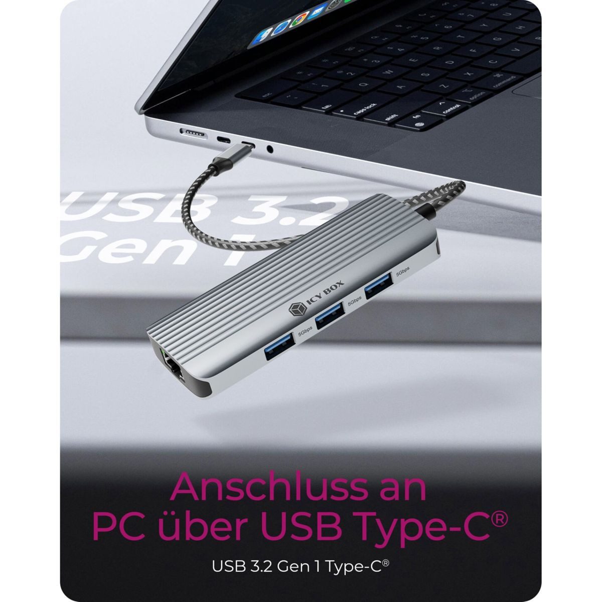Raidsonic Festplatten-Gehäuse ICY BOX IB-DK4034a-CPD USB Type-C Dockingstation