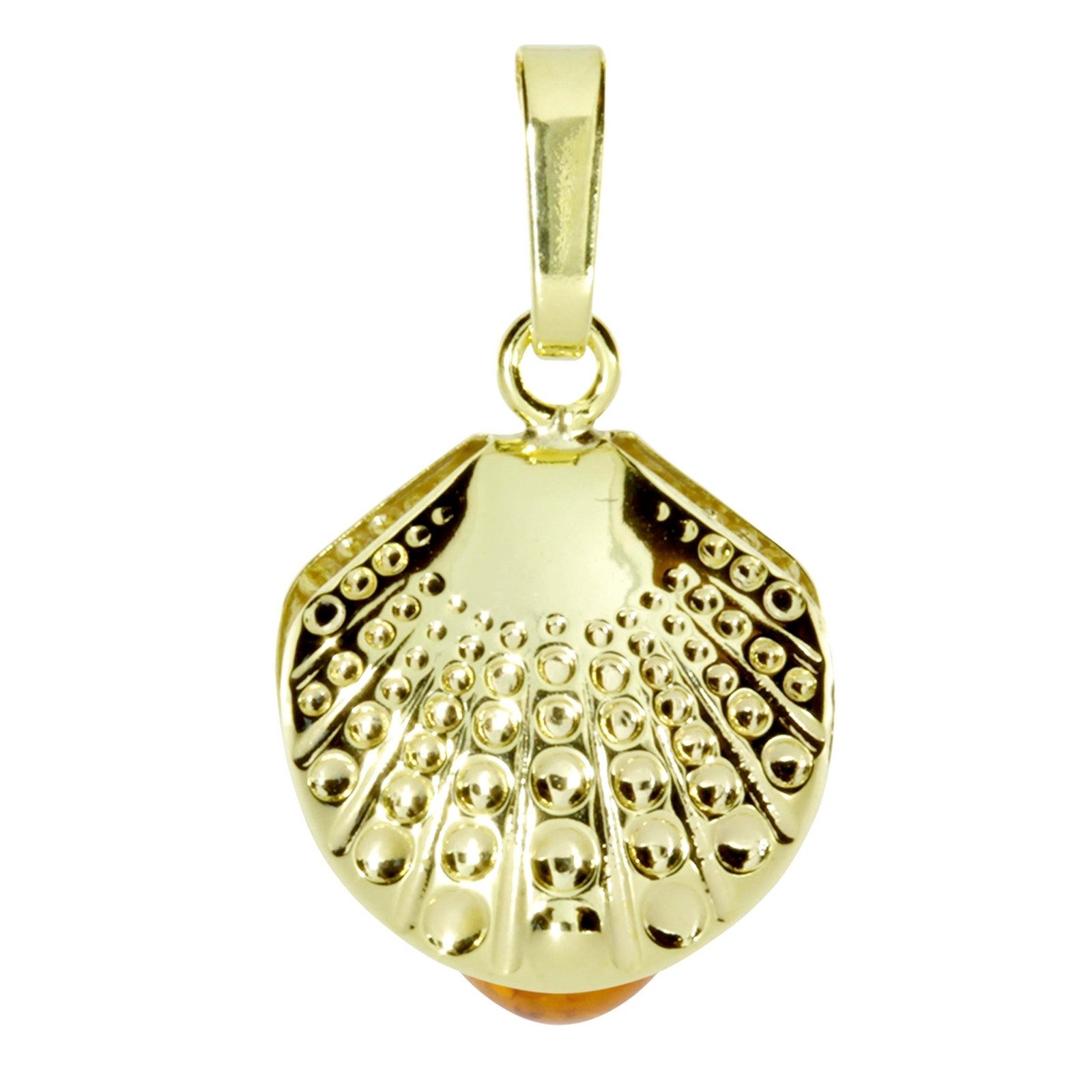 OSTSEE-SCHMUCK Kettenanhänger Ostsee-Schmuck Anhänger Muschel Anhänger Musc günstig online kaufen