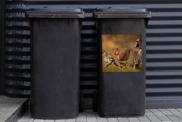 MuchoWow Wandsticker Eichhörnchen - Baumstamm - Wald (1 St), Mülleimer-aufkleber, Mülltonne, Sticker, Container, Abfalbehälter