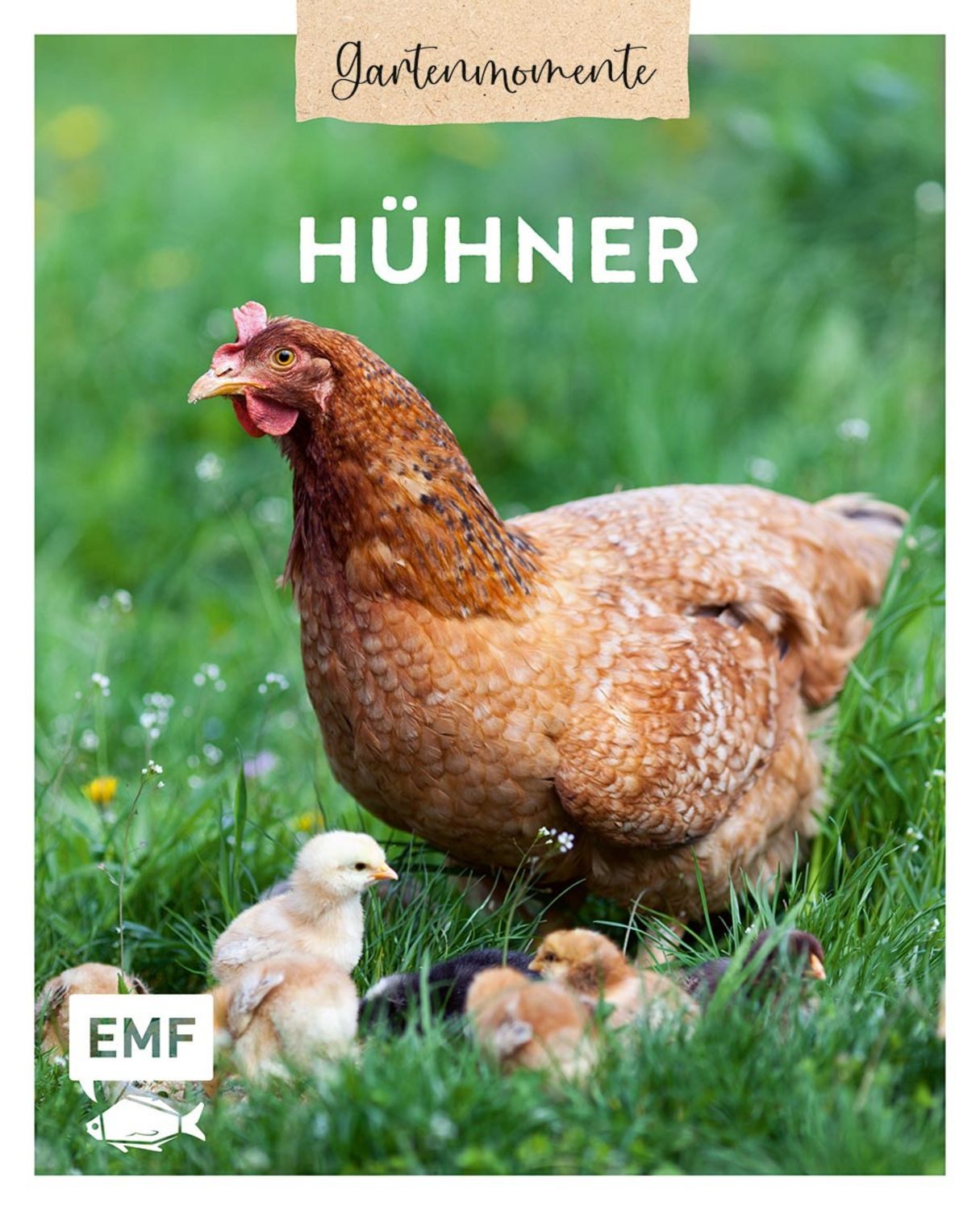 Gartenmomente: Hühner / Jakob Eggenhofer