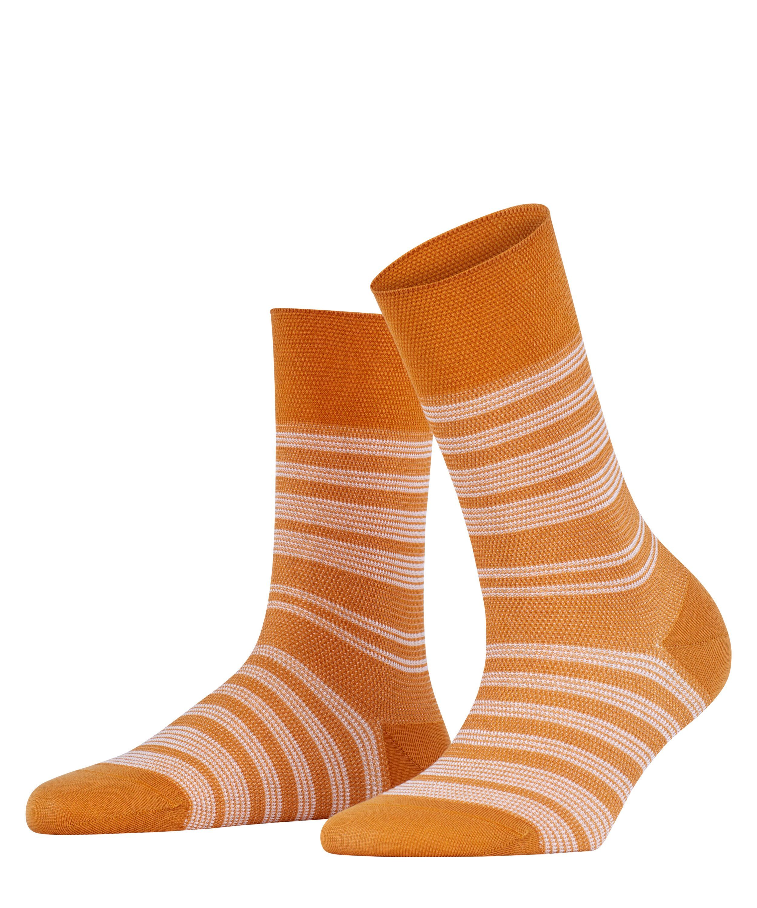FALKE Socken Sunset Stripe (1-Paar) ochre (1237)