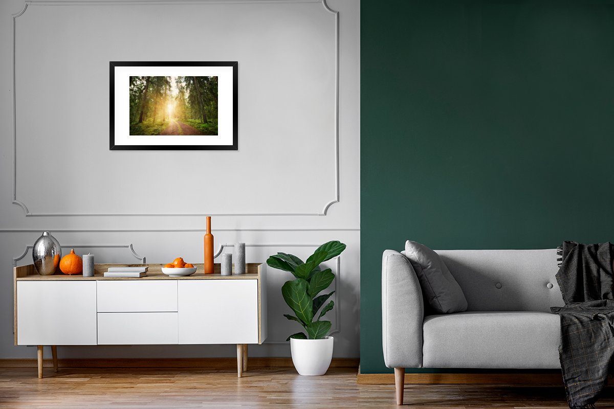 MuchoWow Poster Wald (1 Poster, St), Bilderrahmen - Kunstdruck, Schwarzem Sonne, Rahmen, - Baum Gerahmtes mit