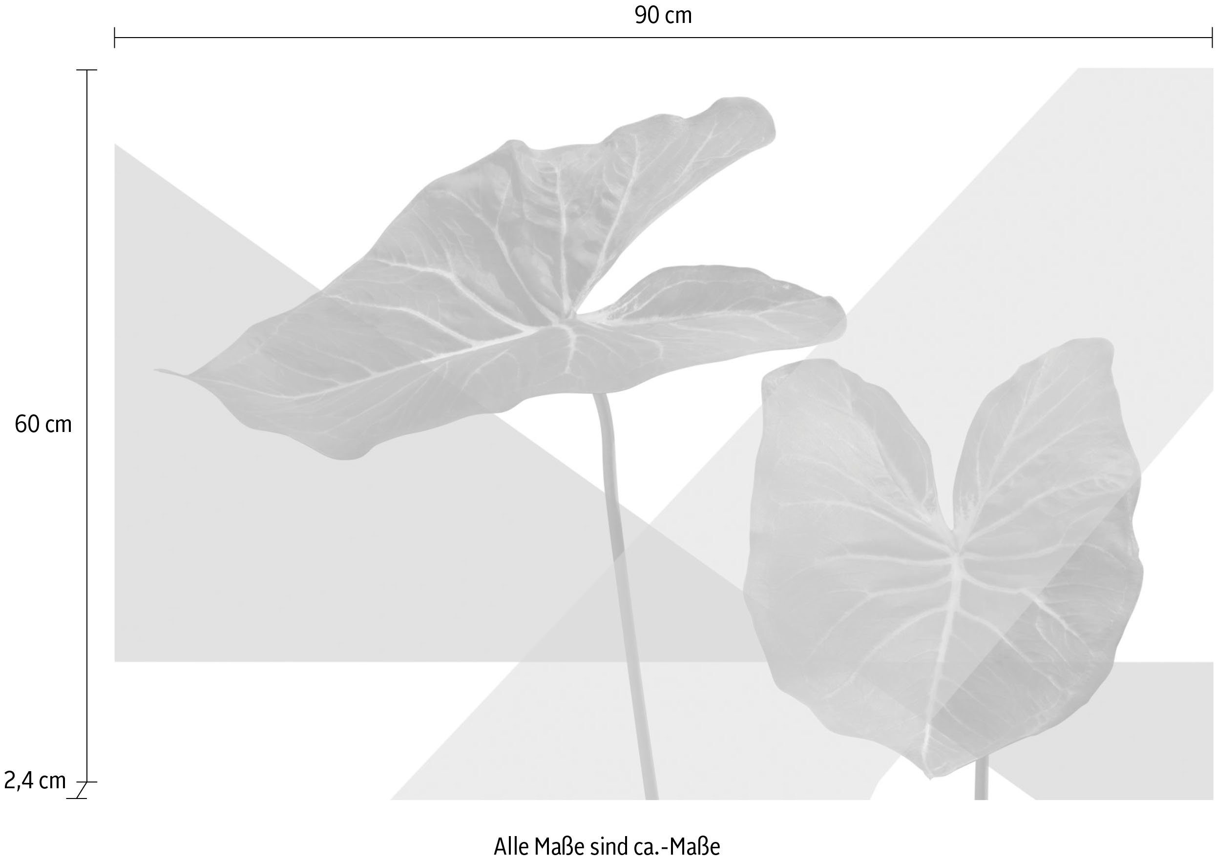 Acrylglasbild queence Blätter