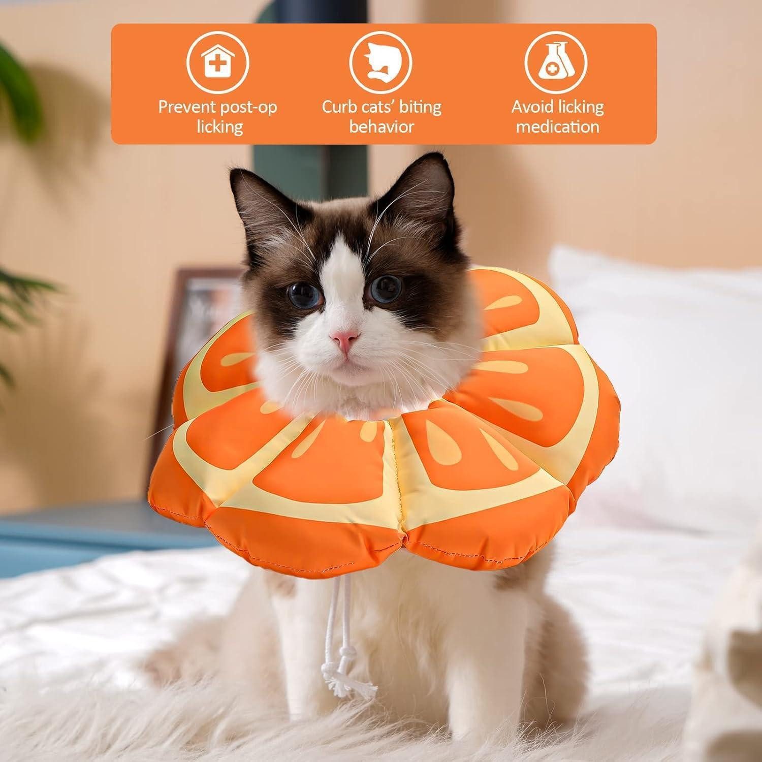 Avont Schutzkragen Halskrause Katze Einstellbar Halsband Leckschutz Kragen Medium