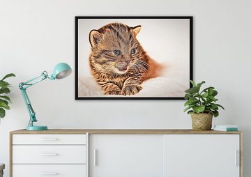 Pixxprint Leinwandbild kleines Kätzchen auf weißer Decke, Wanddekoration (1 St), Leinwandbild fertig bespannt, in einem Schattenfugen-Bilderrahmen gefasst, inkl. Zackenaufhänger