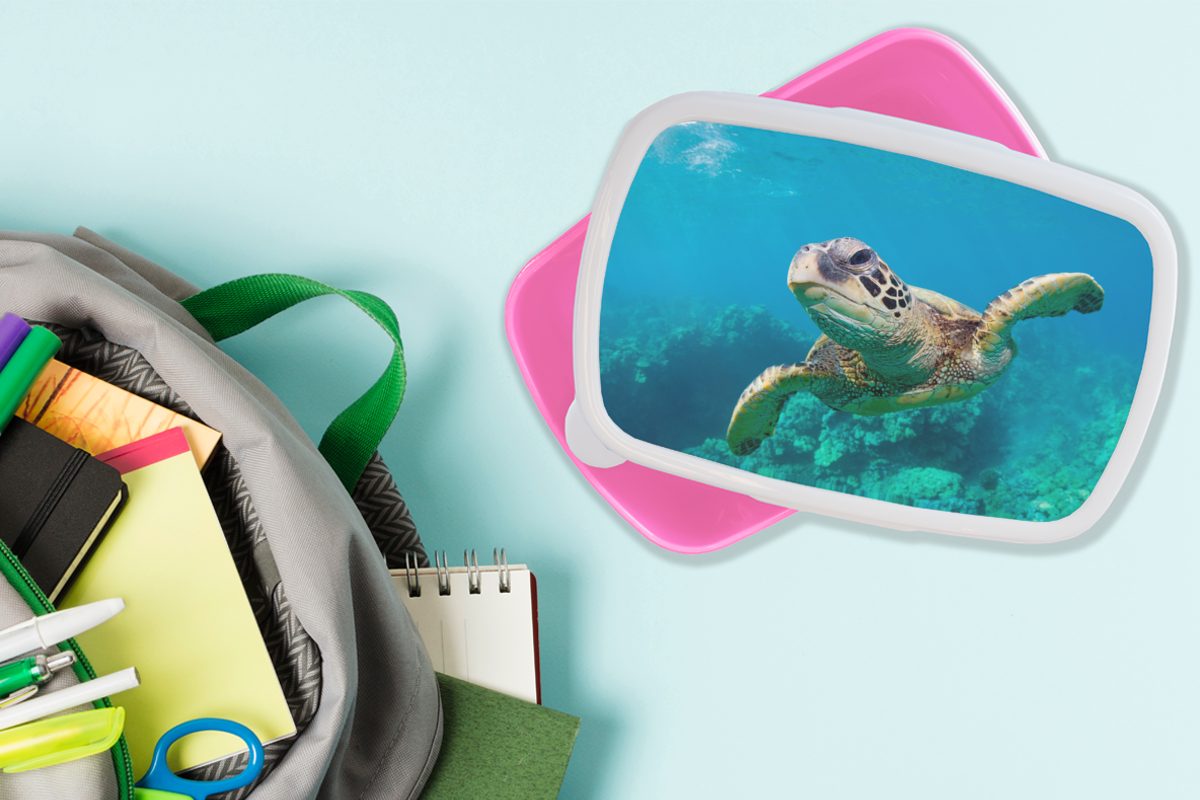 Kunststoff, Schildkröte Lunchbox Eine für Hawaii, das Kunststoff Korallenriff Erwachsene, Snackbox, Mädchen, (2-tlg), MuchoWow Brotbox vor durch Kinder, schwimmt Brotdose rosa