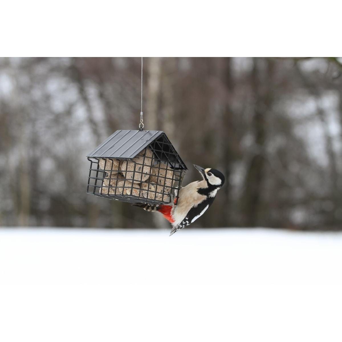 Wildlife Garden Vogelhaus Meisenknödel-Futterspender-Häuschen Schwarz