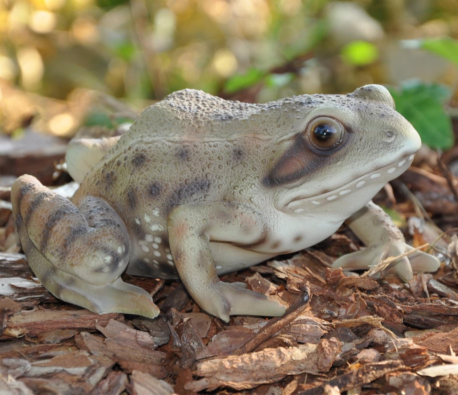 dazikemo Gartenfigur Gartenfigur Teichfigur Dekofigur Frosch günstig online kaufen