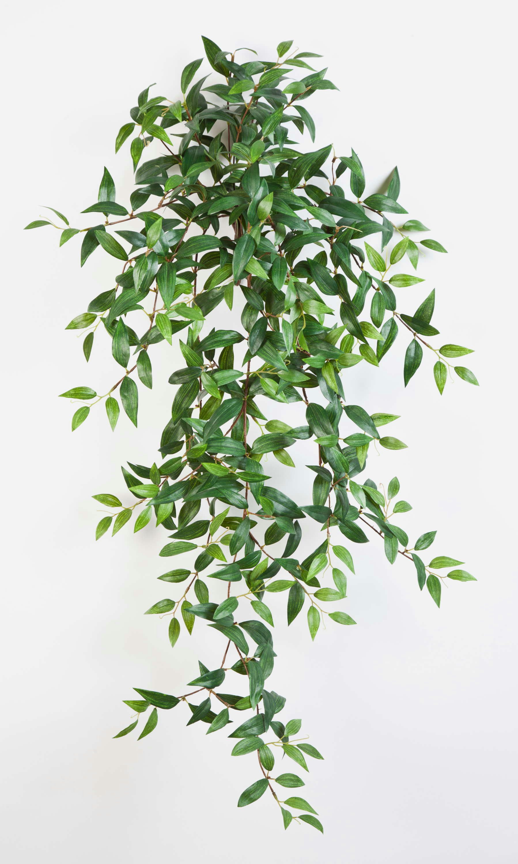 Künstliche Zimmerpflanze Deko Tradescantia Fluminensis, 460 Blätter, grün, 105cm - Kunstpflanze Tradescantia (Tradescantia fluminensis), artplants, Höhe 105.0 cm