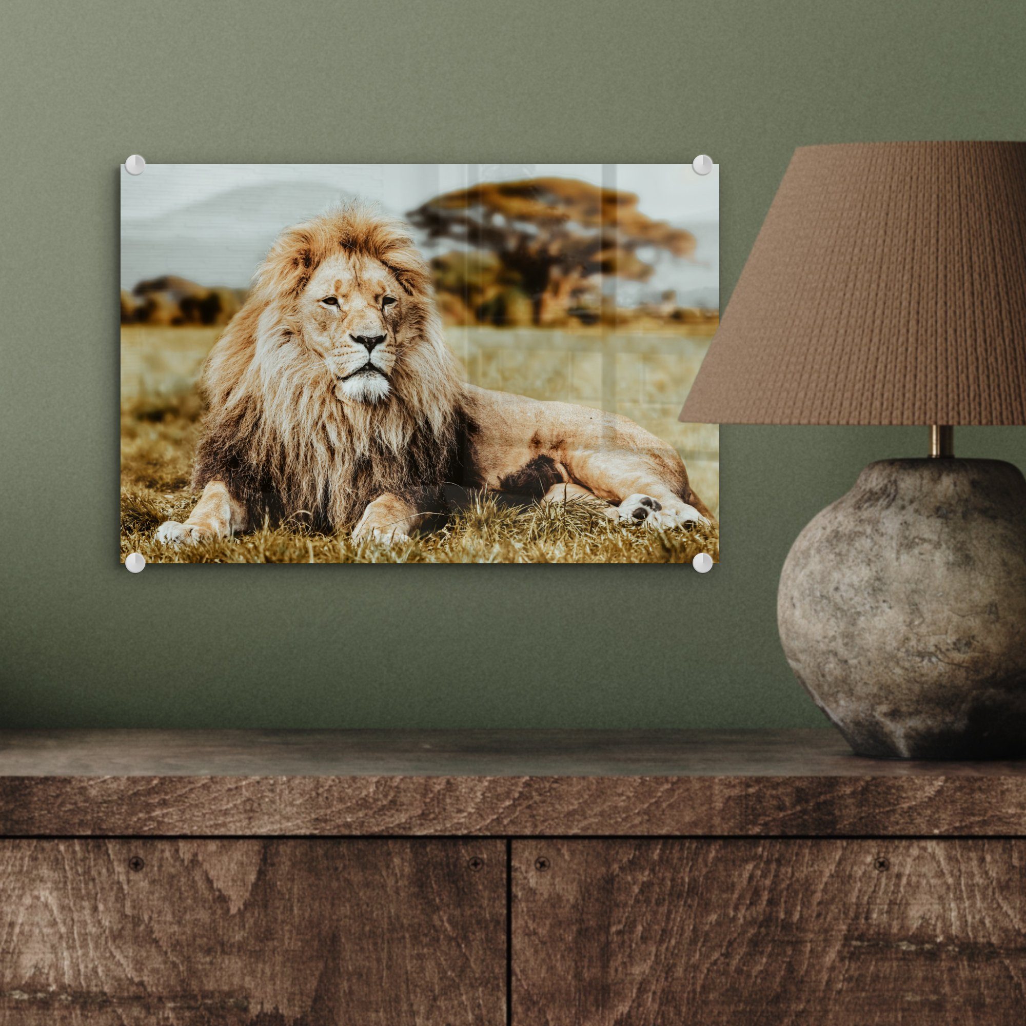 MuchoWow Acrylglasbild Löwen auf Bilder Foto - - - Wandbild Glas (1 Glasbilder St), Afrika, - Wild Wanddekoration - Glas auf
