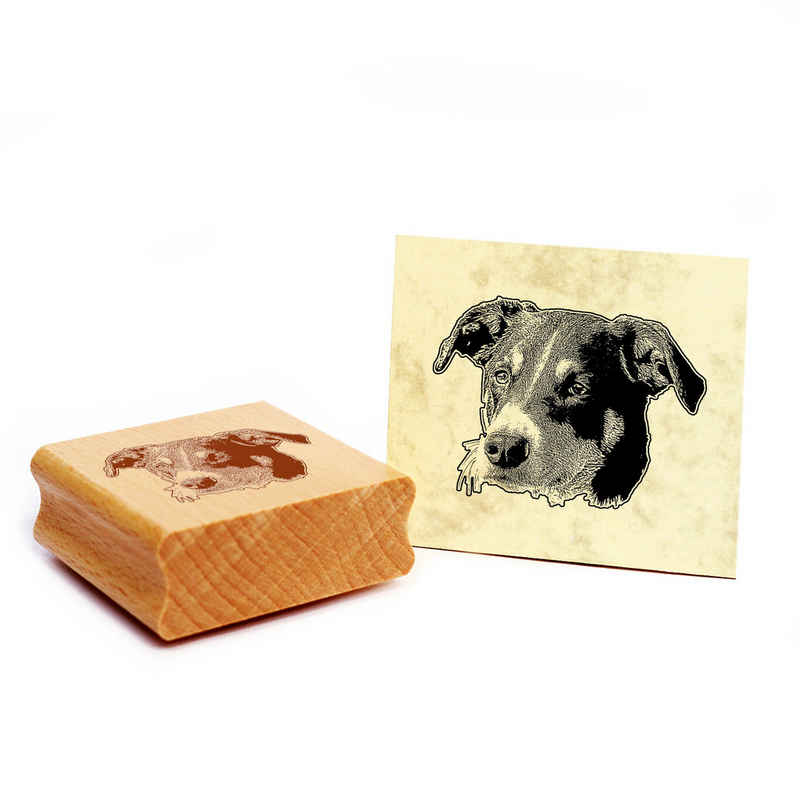 Dekolando Stempel Motivstempel Appenzeller Sennenhund Stempel Hund Holzstempel 48 x 37