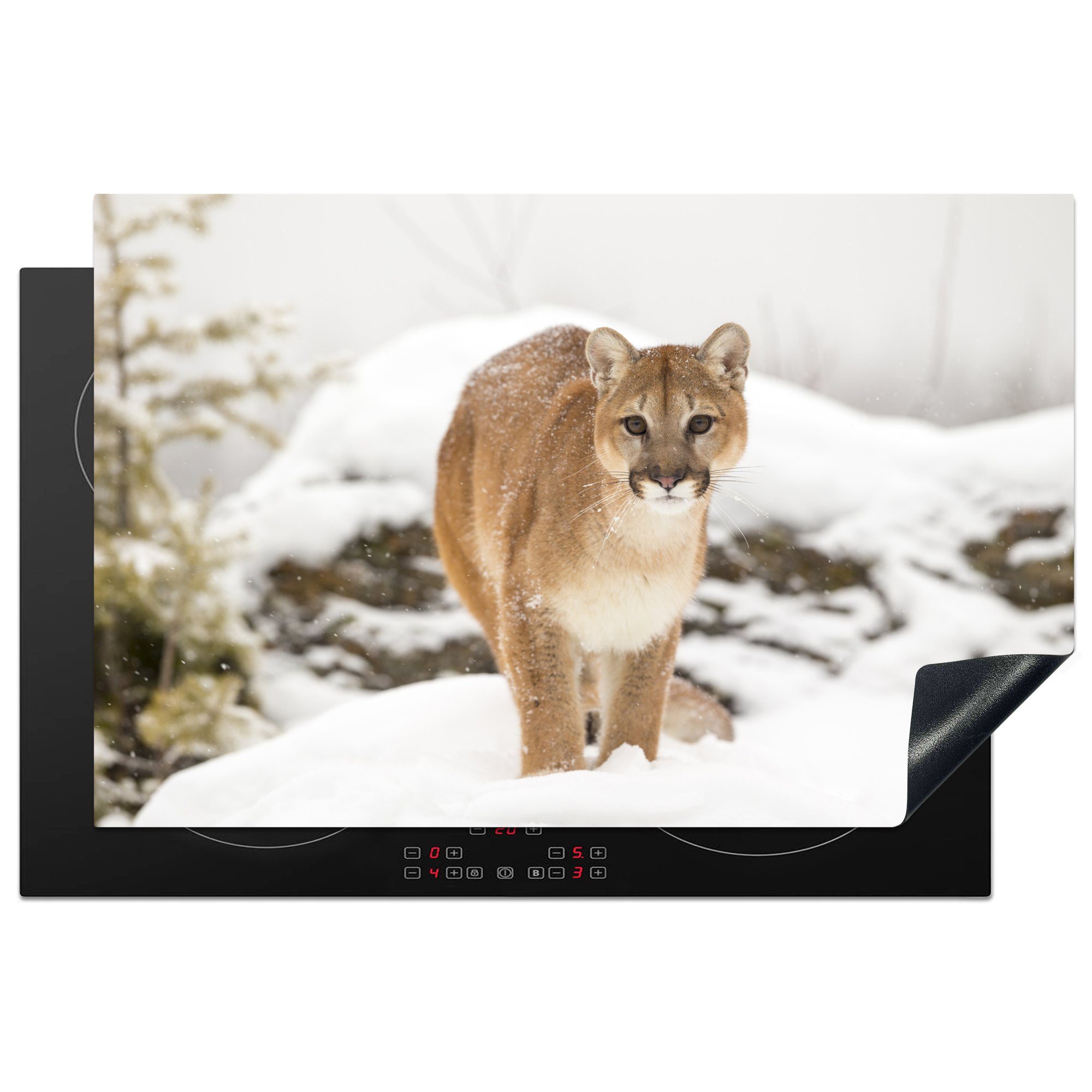 MuchoWow Herdblende-/Abdeckplatte Ein Puma steht im weißen Schnee, Vinyl, (1 tlg), 81x52 cm, Induktionskochfeld Schutz für die küche, Ceranfeldabdeckung