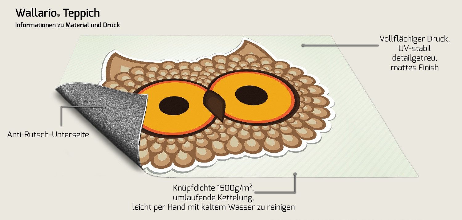 Wallario Teppich Lustige Comic Eule mit großen Augen, rechteckig, rutschfest