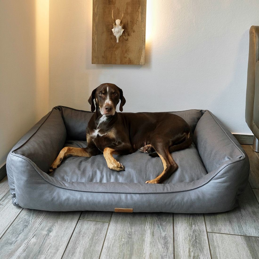 yourGEAR Tierbett your GEAR Belluno 70x100cm orthopädisches Hundebett Hundekorb waschbar