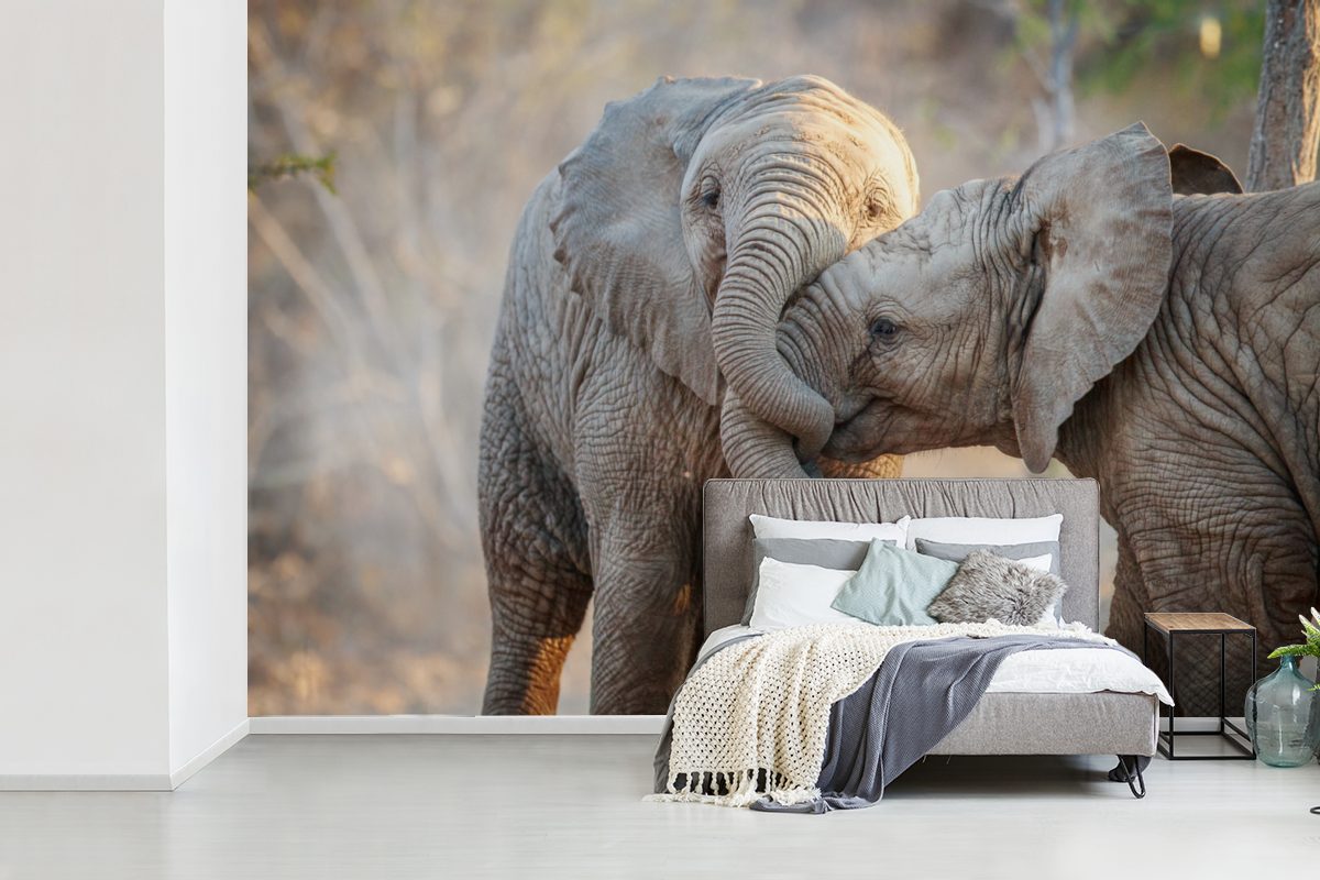 (6 Wohnzimmer, Kinderzimmer, - Fototapete Kuscheltier Schlafzimmer, Tapete Afrika, MuchoWow St), Vinyl Wallpaper Elefanten bedruckt, Matt, für -