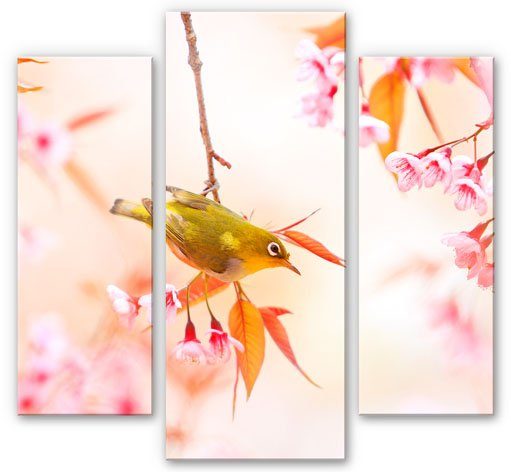 (3-teilig), (Set, und St) Wall-Art Kirschblüte Mehrteilige Bilder Vogel 3