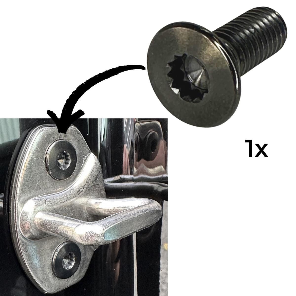 Fantic26 Schrauben-Set 1 x Titan M8 x23 Vielzahn Senkkopfschraube für Türschlossplatte VAG