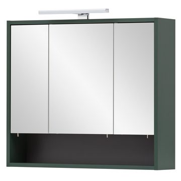Lomadox Spiegelschrank KELLA-80 Badezimmer inkl. Beleuchtung in waldgrün, B/H/T: ca. 70/64,2/16 cm