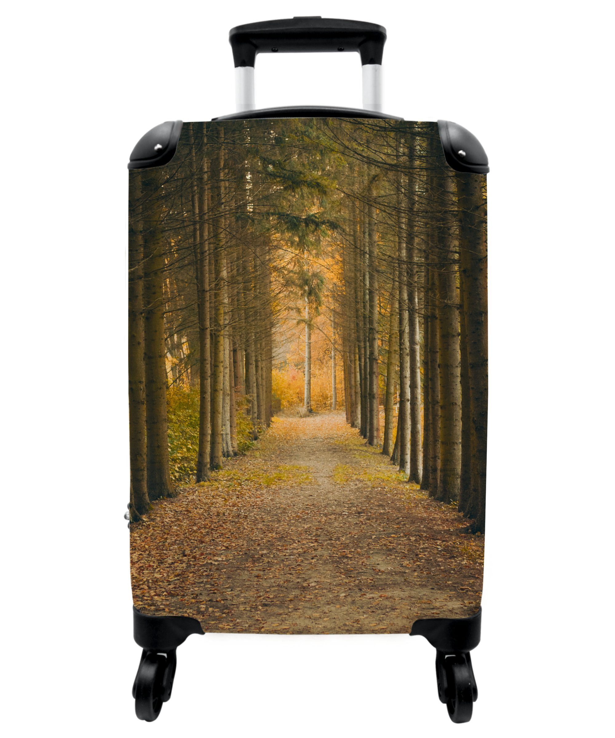 55x35x20cm - Baum - NoBoringSuitcases.com© Rollkoffer Handgepäck Herbst, Wald mit 4 Kleine - Rollen, - - Reisekoffer Rollen 4 Trolley Cabin Handgepäckkoffer Natur Weg