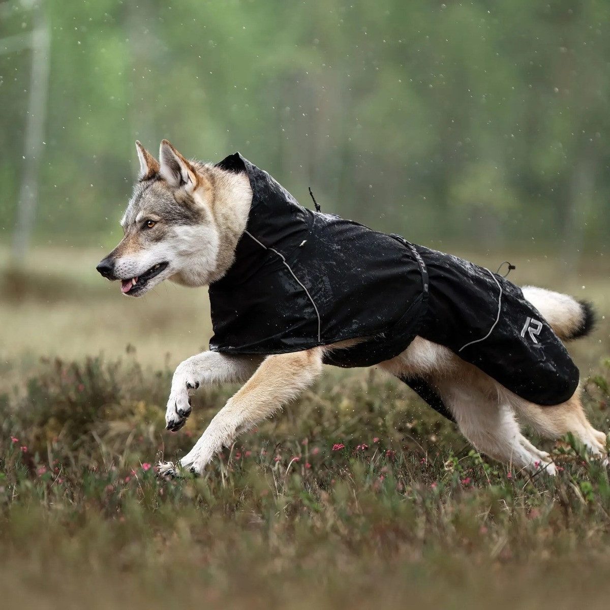 Rukka Hunderegenmantel Regenmantel Hayton X schwarz