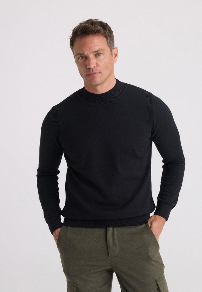 Felix Hardy Rollkragenpullover Pullover mit Stehkragen