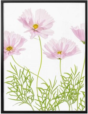 Wall-Art Poster Sommerblume, Blumen (1 St), Poster ohne Bilderrahmen