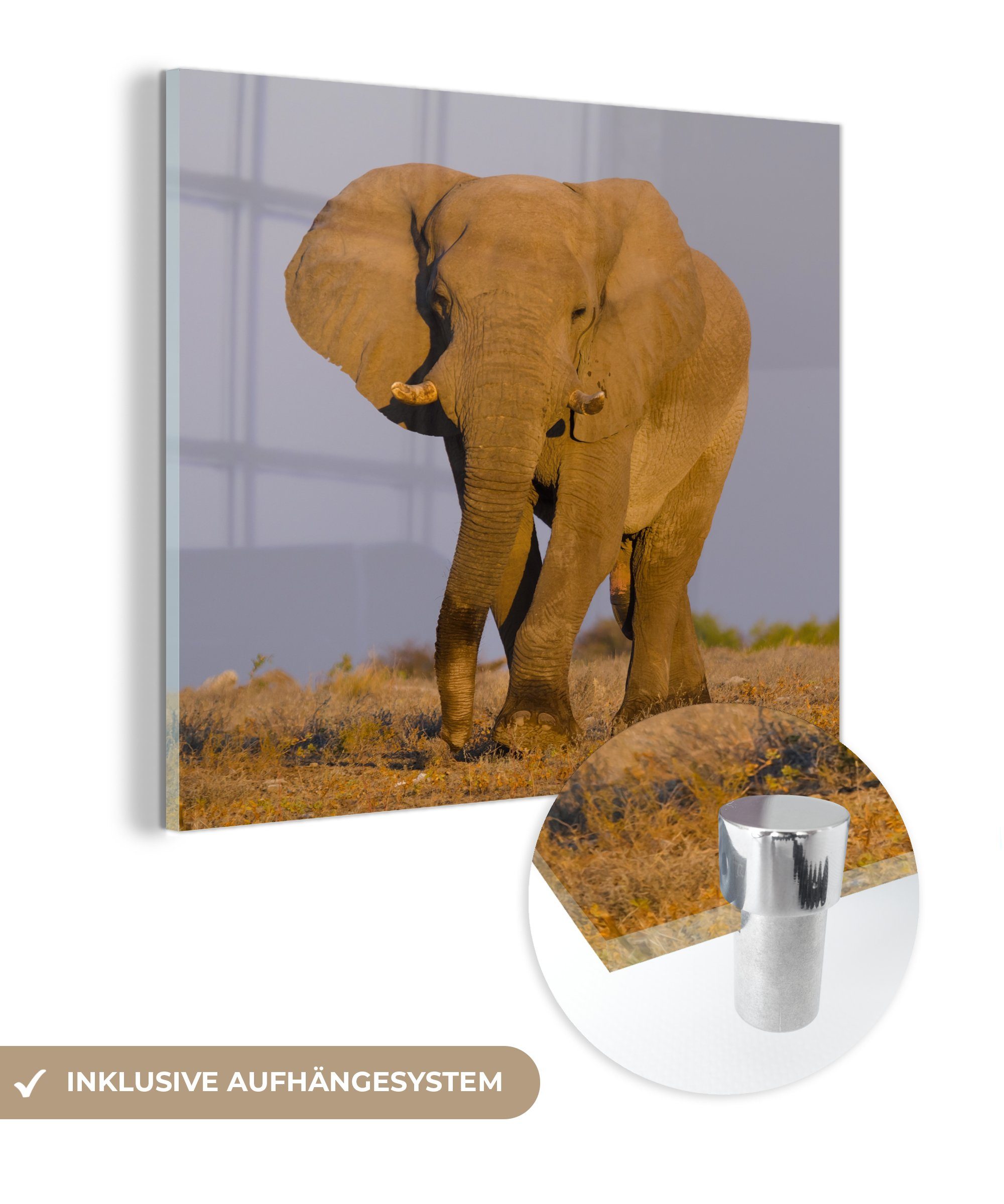 Glasbilder Wandbild Wanddekoration im - Sand, MuchoWow Glas Afrikanischer bunt Acrylglasbild St), auf Bilder Foto - - auf (1 Glas Elefant