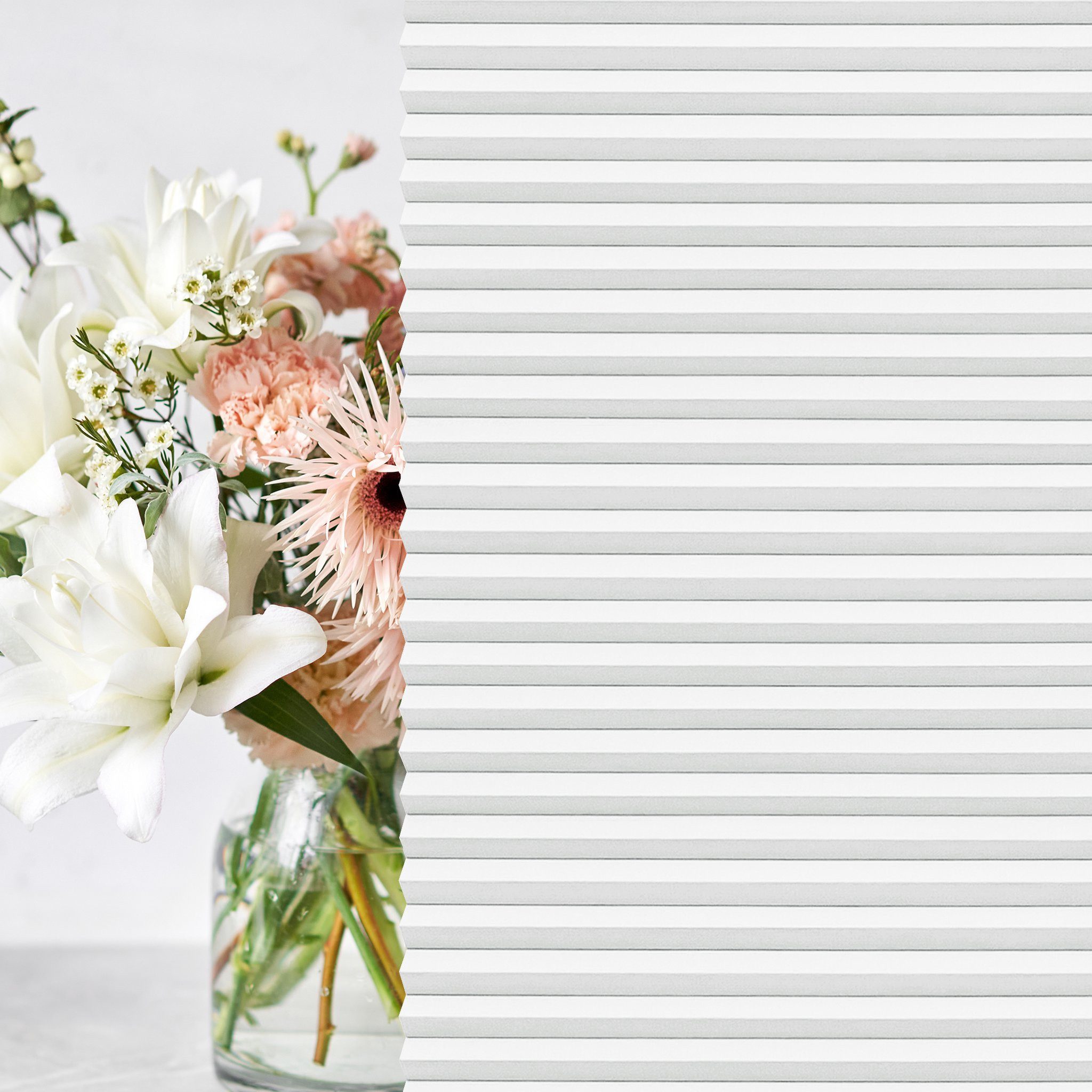 jalousiescout Wabenplissee Pure Wabenplissee, 30 x 90 cm, weiß, verdunkelnd günstig online kaufen