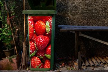 MuchoWow Wandsticker Erdbeere - Obst - Saatgut (1 St), Mülleimer-aufkleber, Mülltonne, Sticker, Container, Abfalbehälter