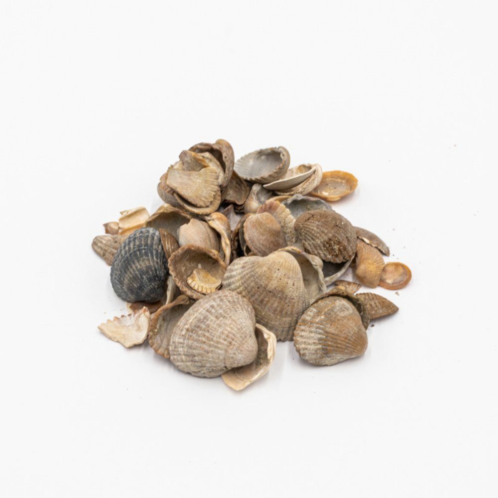 CM-Gartendesign Zierkies Muscheln, (3/20mm, grau), 0kg
