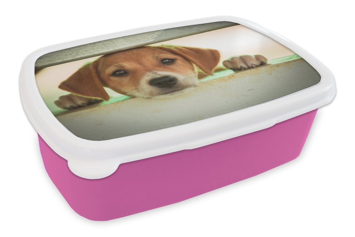 einen Welpe schaut Lunchbox für Kunststoff Zaun, (2-tlg), Snackbox, Erwachsene, durch Brotdose Kunststoff, rosa MuchoWow Brotbox Kinder, Ein Mädchen,