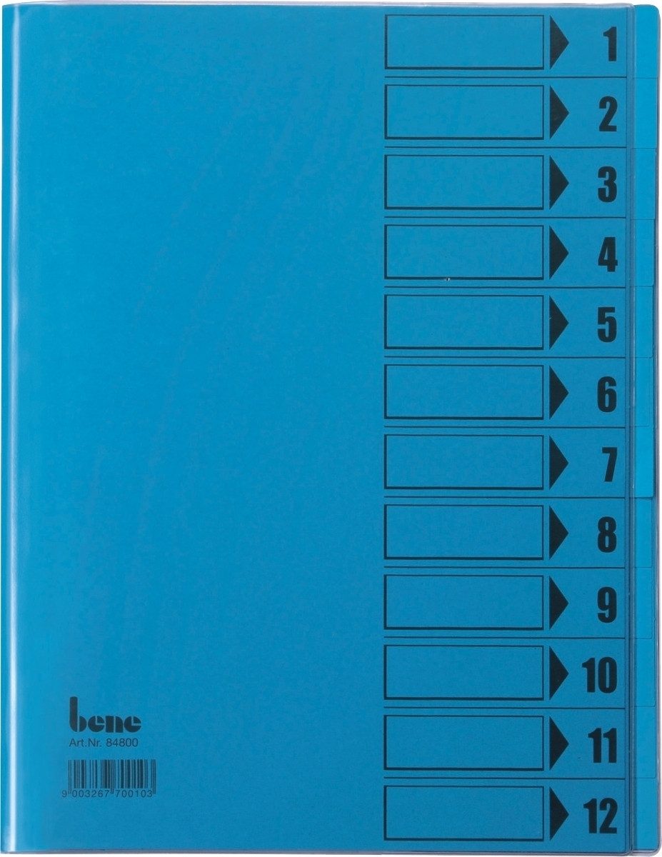 Organisationsmappe Ordnungsmappe A4 12 Fächer Karton mit Kunststoffumschlag blau