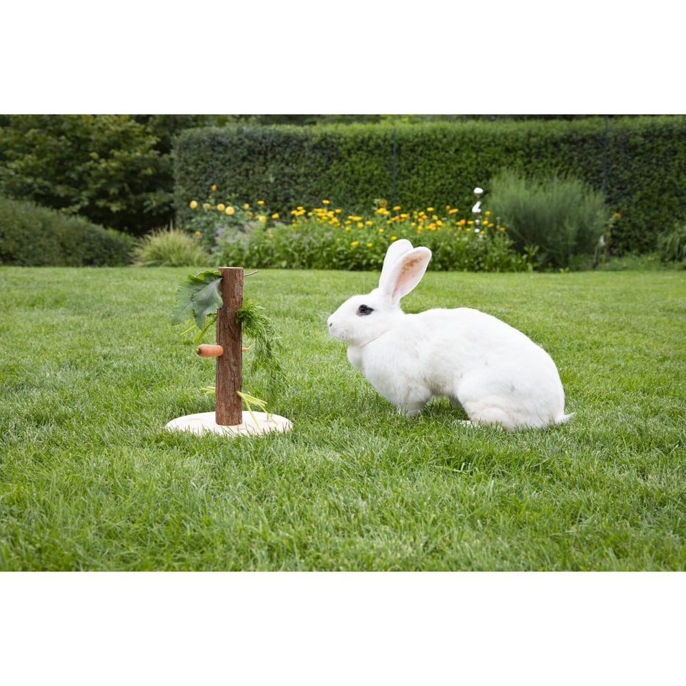 MICA Outdoor-Spielzeug Nagerzubehör - Futterbaum Nature günstig online kaufen